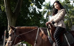 鞠萍姐姐讲故事全集